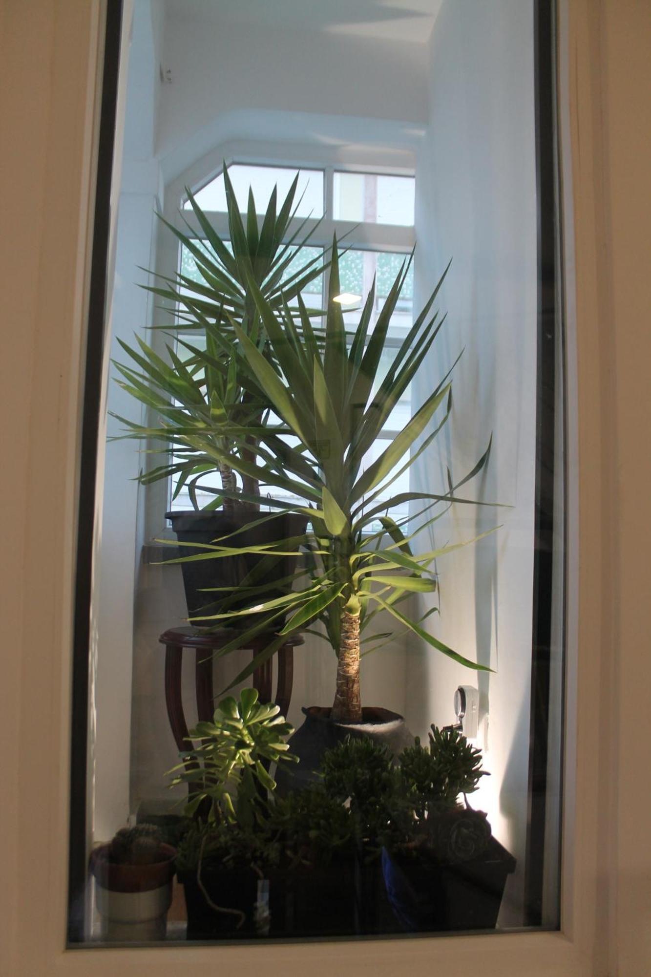 Real Guest House Costa da Caparica Extérieur photo